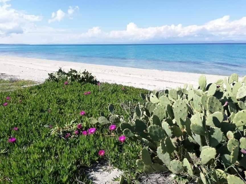 Villa Christina Sea Side A Hanioti Eksteriør billede